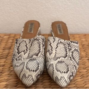 Steve Madden • Snake Print Pointed Toe Block Heel Mules